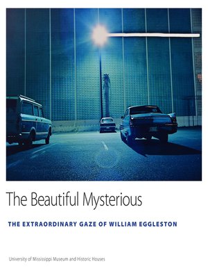 cover image of The Beautiful Mysterious